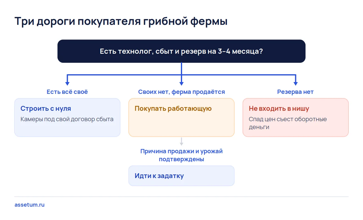 Дерево решений по грибной ферме: строить при своём технологе и сбыте, покупать при подтверждённом урожае или не входить