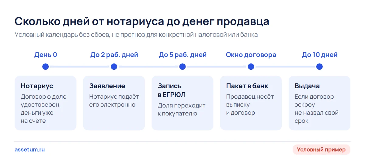 Шкала сроков раскрытия эскроу: заявление нотариуса, запись в ЕГРЮЛ, пакет в банк и выдача денег продавцу