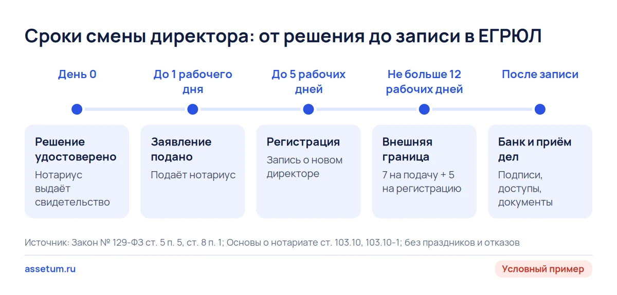 Шкала сроков смены директора в ООО: нотариус подаёт за 1 рабочий день, регистрация до 5, верхняя граница 12