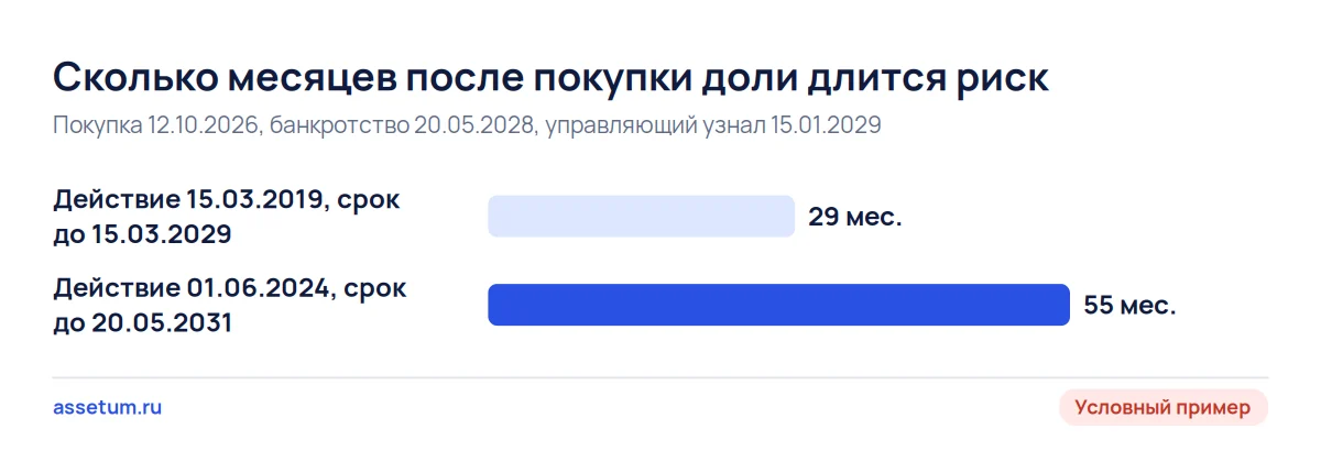 Условный пример: риск по действию 2019 года длится 29 месяцев после покупки доли, по действию 2024 года 55 месяцев