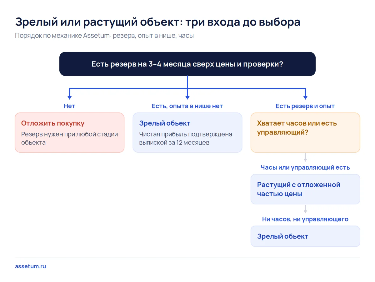 Дерево решений: без резерва покупку откладывают, без опыта в нише берут зрелый объект, растущий только при часах и опыте